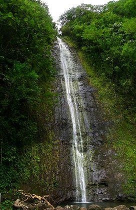 Waterfalls of Hawaii - Manoa Falls